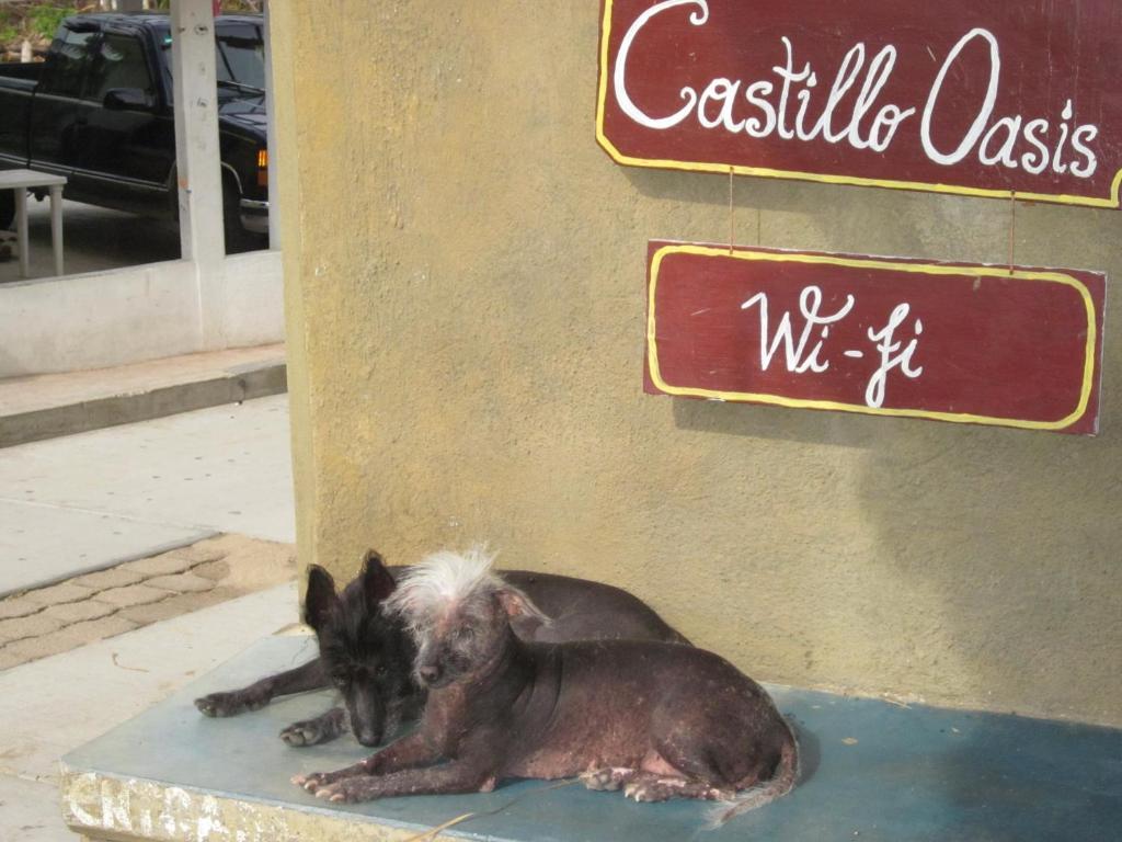 Castillo Oasis Zipolite Exterior photo